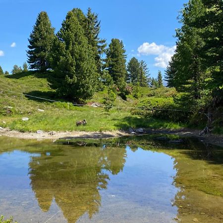 Landhaus Rieder Im Zillertal Daire Aschau Im Zillertal Dış mekan fotoğraf