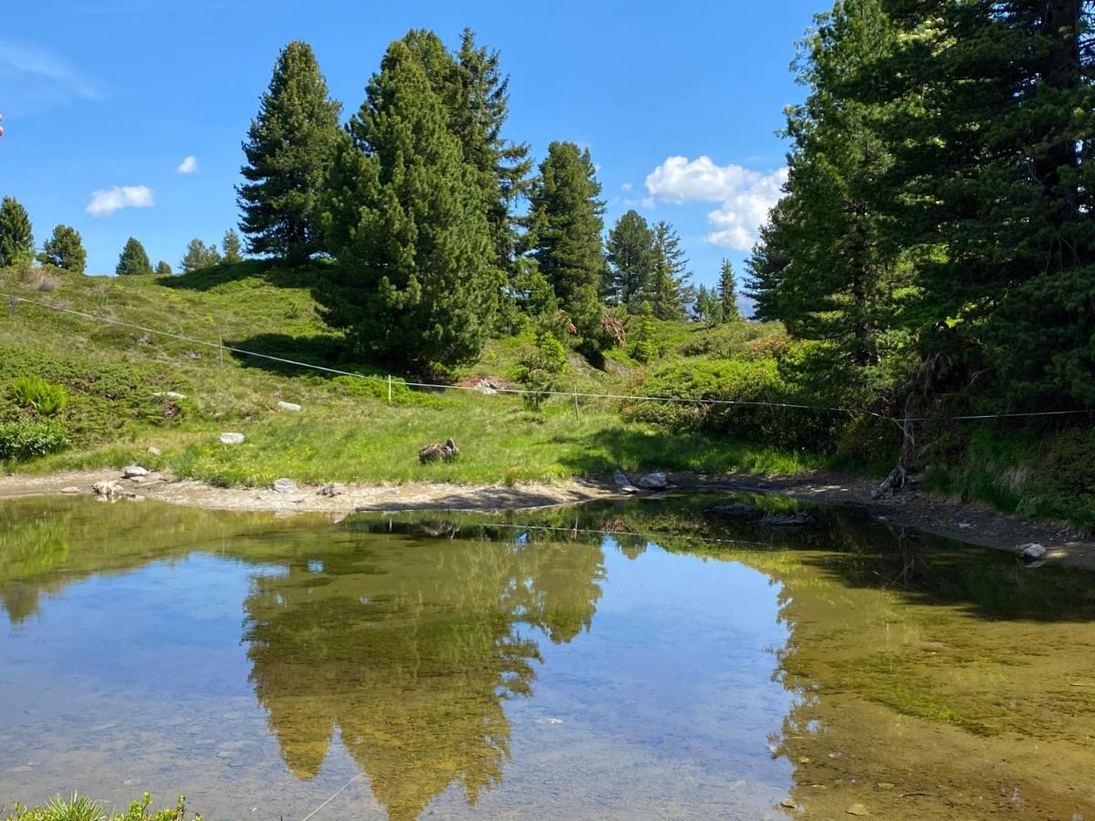 Landhaus Rieder Im Zillertal Daire Aschau Im Zillertal Dış mekan fotoğraf